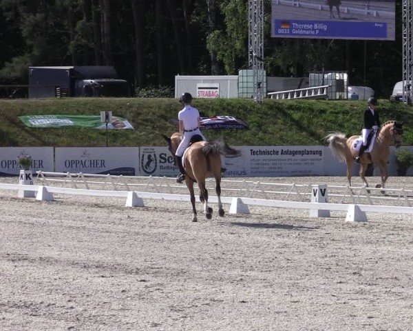 Reitturnier Holschdubrau 2025