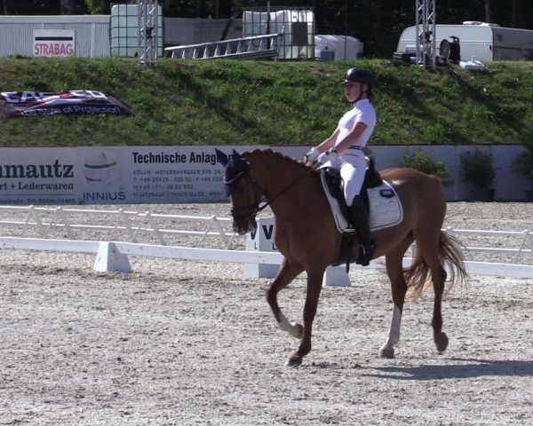 Reitturnier Holschdubrau 2025