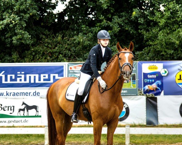 horse Sky SH (Westphalian, 2019, from Sir Heinrich)