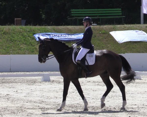 Reitturnier Holschdubrau 2025