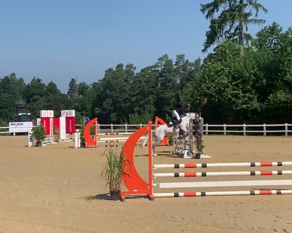 Video of Camilla 178