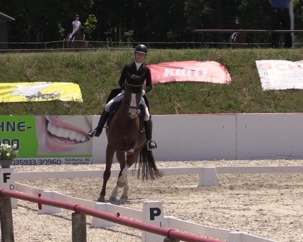 Reitturnier Holschdubrau 2025