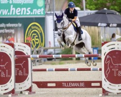jumper Coulibaly Lv Diepenbroeck Z (Zangersheide riding horse, 2015, from Cabrio van de Heffinck)