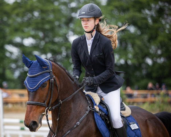 jumper Call me Jack 3 (German Riding Pony, 2018, from Cascavelle NT) jumper Call me Jack 3 (German Riding Pony, 2018, from Cascavelle NT)