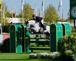 horse Santa Lucia W (Belgian Warmblood, 2018, from Luigi D'Eclipse)