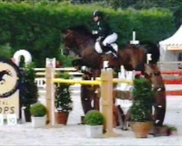 Pferd Jazz de Coquerie (Selle Français, 1997, von Billy du Lys)