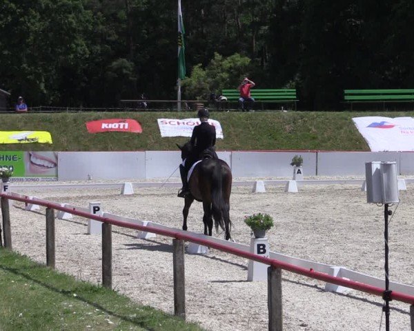Reitturnier Holschdubrau 2025
