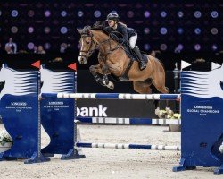 Springpferd Ella (KWPN (Niederländisches Warmblut), 2009, von Verdi)