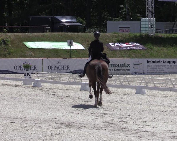 Reitturnier Holschdubrau 2025