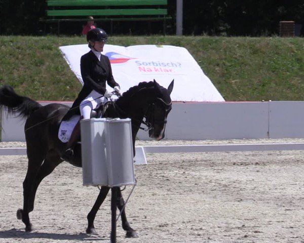 Reitturnier Holschdubrau 2025