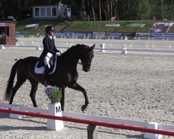 Reitturnier Holschdubrau 2025
