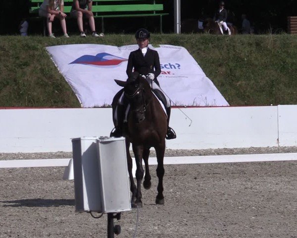 Reitturnier Holschdubrau 2025