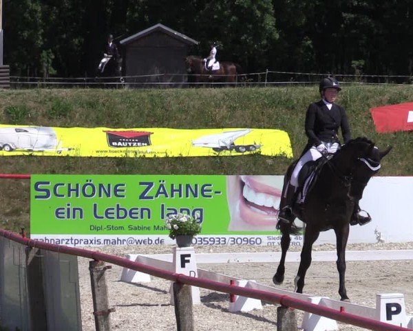 Reitturnier Holschdubrau 2025