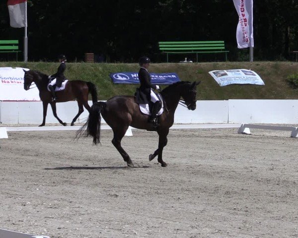 Reitturnier Holschdubrau 2025