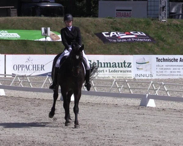 Reitturnier Holschdubrau 2025