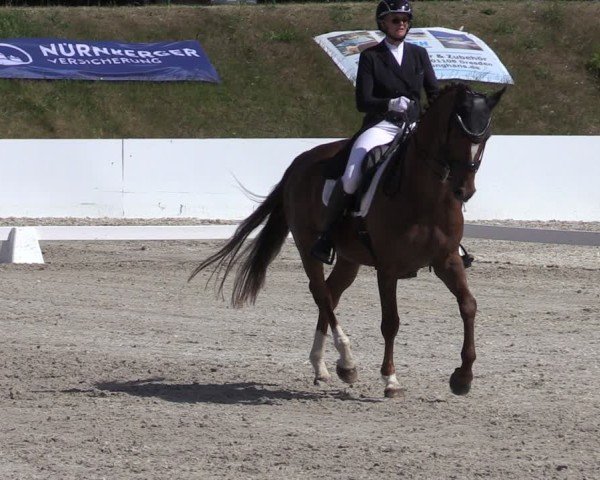 Reitturnier Holschdubrau 2025