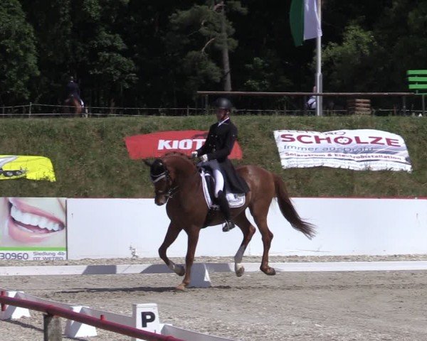 Reitturnier Holschdubrau 2025