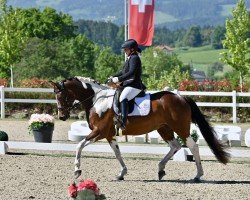 dressage horse Happiness EJ (unknown, 2014)