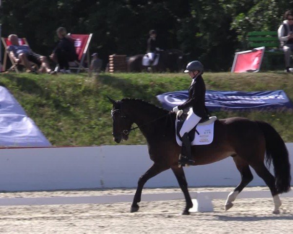 Reitturnier Holschdubrau 2025