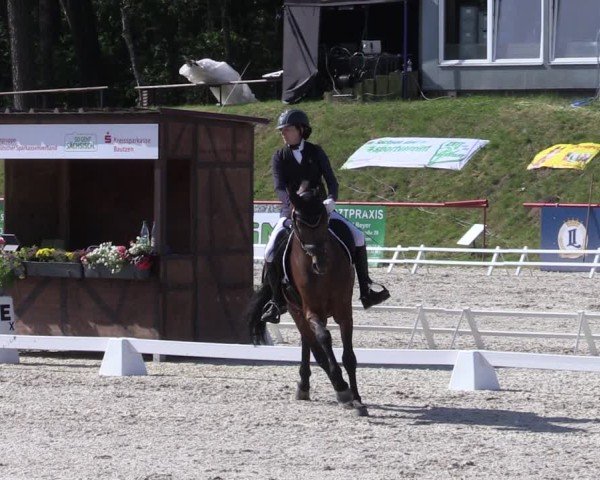 Reitturnier Holschdubrau 2025