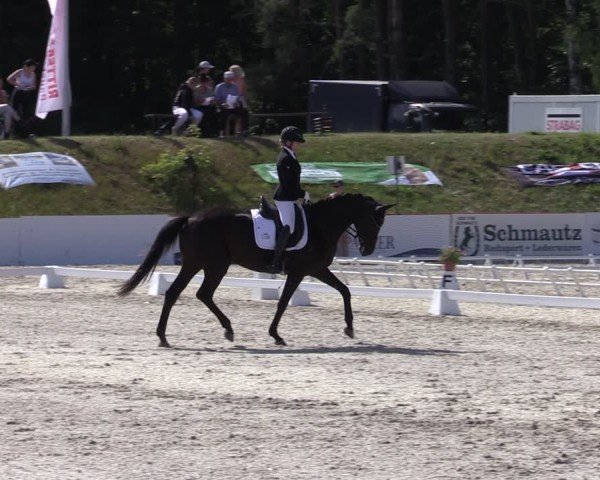 Reitturnier Holschdubrau 2025