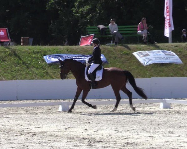 Reitturnier Holschdubrau 2025