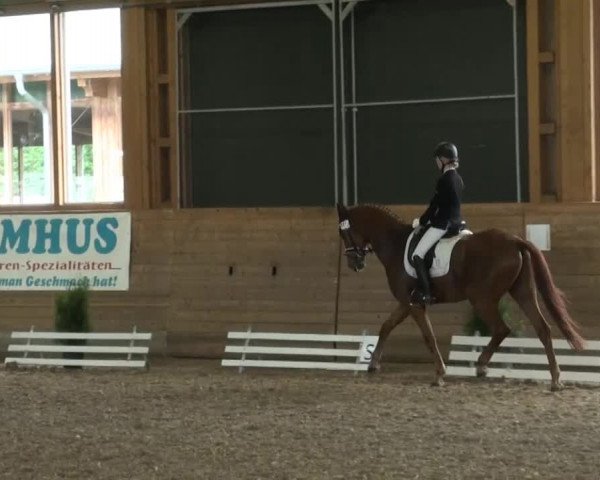 Coesfelder Reitertage 2014