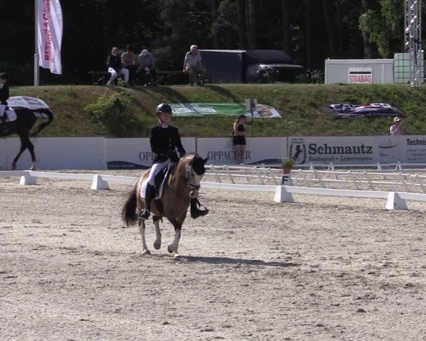 Reitturnier Holschdubrau 2025