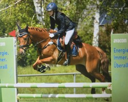 jumper Macchiatos Mucki (German Riding Pony, 2018, from Macchiato)