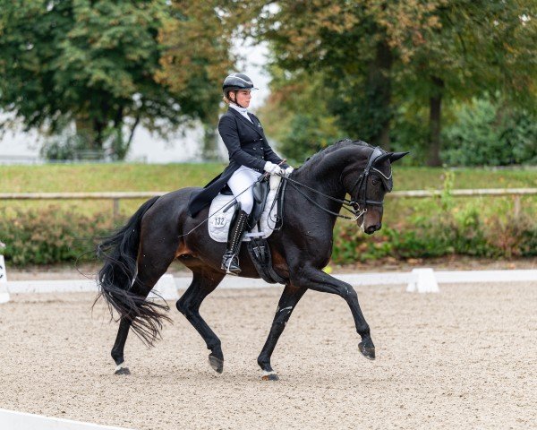 Dressurpferd Fleurette 20 (Deutsches Sportpferd, 2015, von For Romance I)
