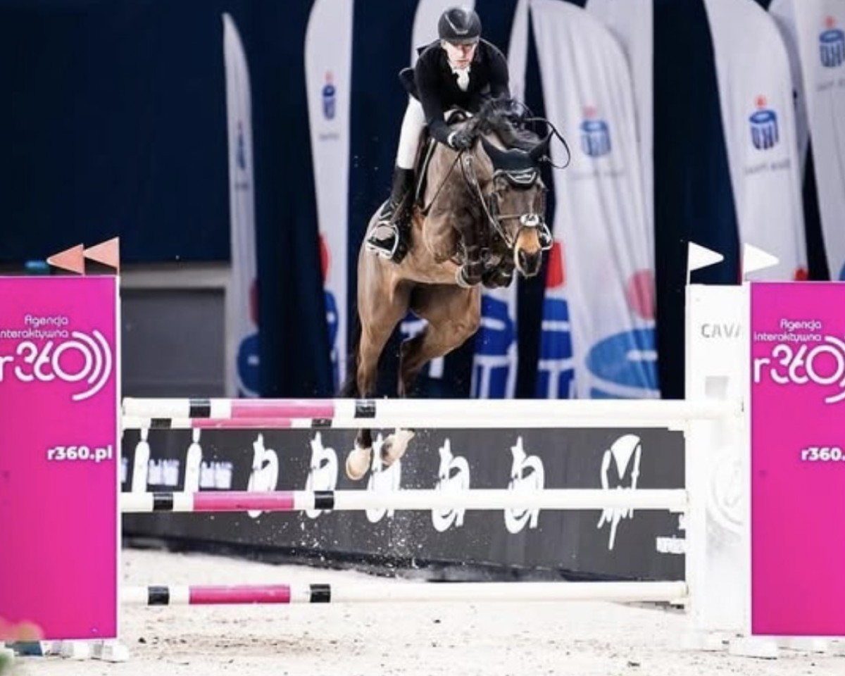 jumper Comme SI (Westphalian, 2015, from Comme il Faut)
