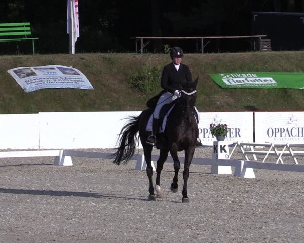 Reitturnier Holschdubrau 2025