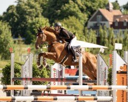 jumper Patronus v.B. (Zweibrücken, 2011, from Potomac 4)