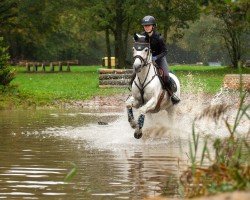 dressage horse Lookout Secret (Connemara Pony, 2010, from Mirah's Oyster Bandit)