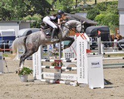 broodmare Hanna N (Oldenburg show jumper, 2020, from Heartbeat)
