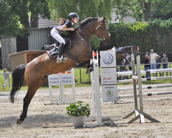 Springpferd Ilse N (Oldenburger Springpferd, 2018, von I'm Special de Muze)