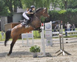 jumper Ilse N (Oldenburg show jumper, 2018, from I'm Special de Muze)