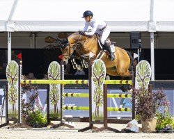 jumper Cacao 11 (Hanoverian, 2018, from Chacco's Son II)