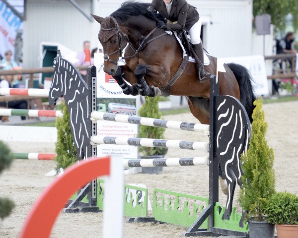 jumper Cassius Cornadoson (Rhinelander, 2010, from Cornado NRW)