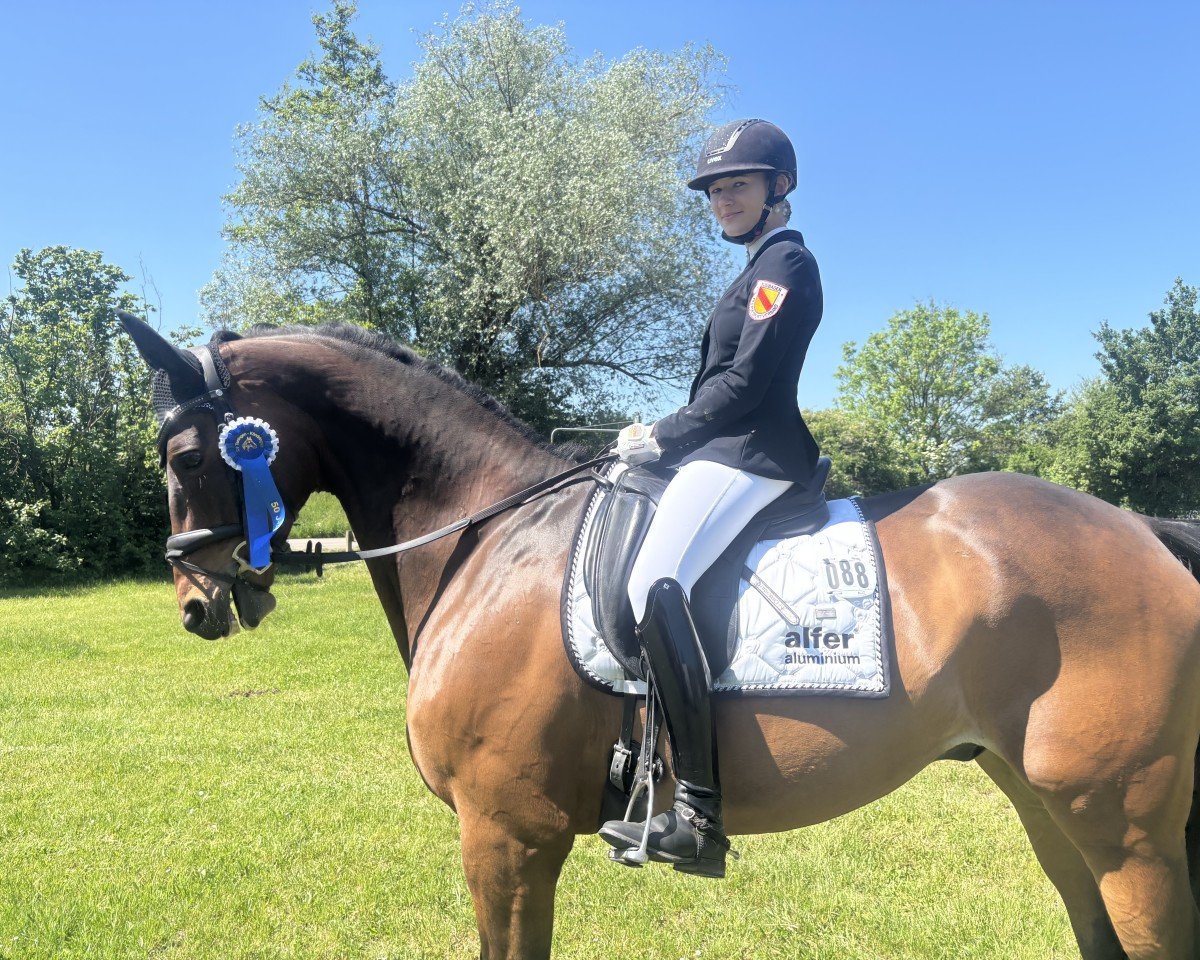 Dressage horse Memelwind 3 (Trakehner, 2014, from Guardian)