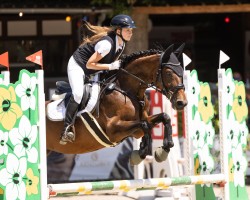 broodmare Sunrise 157 (Hanoverian, 2013, from Show Star)