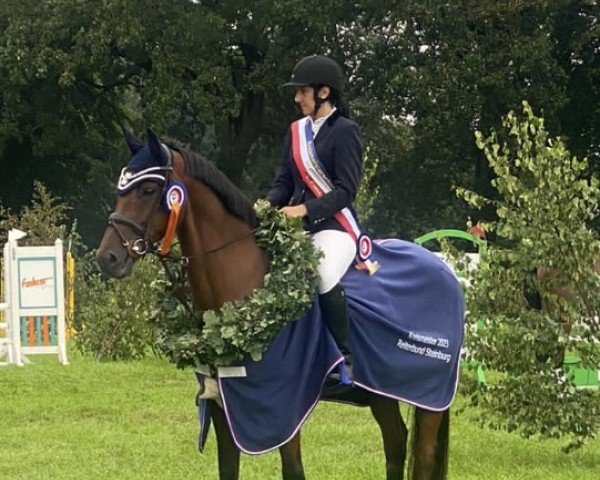 jumper Cassandra 381 (Holsteiner, 2012, from Canstakko)