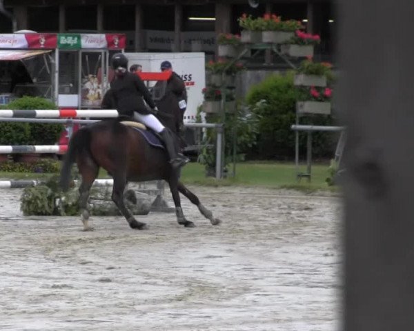 Coesfelder Reitertage 2014