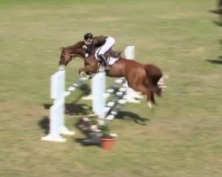 jumper Florette 69 (Hanoverian, 2016, from Fuechtels Floriscount OLD)