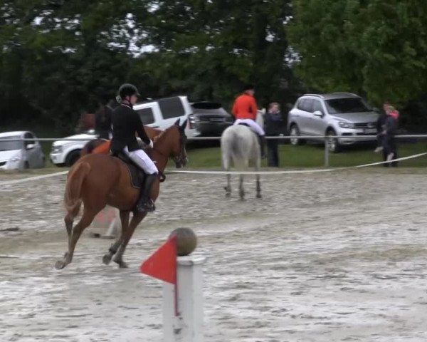 Coesfelder Reitertage 2014