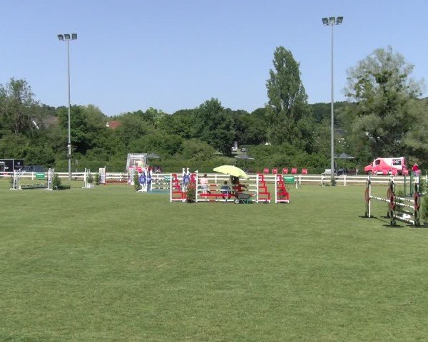 Reitturnier Aach 2025