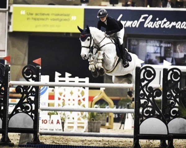 Springpferd Laure van de Kakebeek (Belgisches Warmblut, 2011, von Zilverstar T)