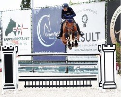 jumper Origi Vitseroel (Belgian Warmblood, 2014, from Balou de Coeur Joye)