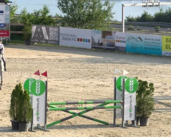 Reitturnier Wädenswil 2025