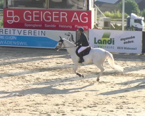Reitturnier Wädenswil 2025